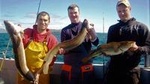 Deep sea angling / fishing on Connemara coast. Guided Full-Day 