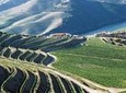 Douro Valley Tour: Wine Tasting, River Cruise and Lunch From Porto with Pickup