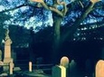 Ghosts of Charleston Night-Time Walking Tour with Unitarian Church Graveyard