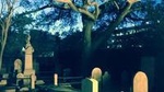 Ghosts of Charleston Night-Time Walking Tour with Unitarian Church Graveyard