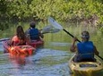 Key West Half Day Kayak Rental