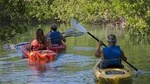 Key West Half Day Kayak Rental