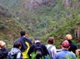 Morialta Wilderness and Wildlife Hike - Day Trip from Adelaide