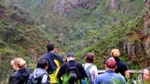 Morialta Wilderness and Wildlife Hike - Day Trip from Adelaide