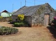 Highlights of Tobago Tour
