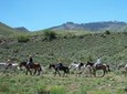 Horseback Riding Adventure from Reno