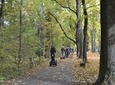 Munich 1.5-Hour Introductory Segway Tour