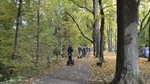Munich 1.5-Hour Introductory Segway Tour