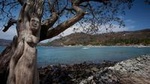 Las Gatas Kayaking and Snorkeling Tour