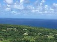 Maui to Big Island : Big Island Volcano Helicopter Tour & Ground Tour