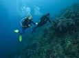 SSI Rescue Diver Course in Tenerife