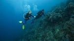 SSI Rescue Diver Course in Tenerife