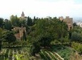 Alhambra private tour from Costa del Sol