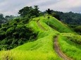 Private Tour: The Most Beautiful Places in Ubud
