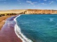 Paracas National Reserve Private Tour