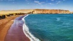 Paracas National Reserve Private Tour