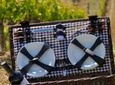 Rioja Wineries and Laguardia Tour with Picnic from San Sebastian