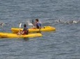 Sea Kayak and Cape Point Private Tour from Cape Town