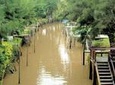 Shore Excursion: Small Group Tigre Delta Tour from Buenos Aires
