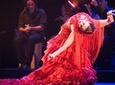 Tapas and Wine Walking Tour with Flamenco Experience