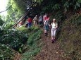 Join us to the amazing Walk Sanguinho and it's forest