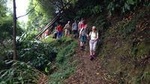 Join us to the amazing Walk Sanguinho and it's forest