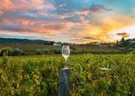 Private Full-Day Wine Country Tour from San Francisco - 8 Hours