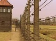 Full-Day Auschwitz Tour from Lodz
