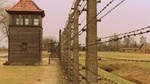 Full-Day Auschwitz Tour from Lodz