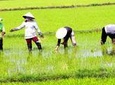 Private Full-day Mekong Tour From Ho Chi Minh City, Including River Cruise