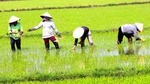 Private Full-day Mekong Tour From Ho Chi Minh City, Including River Cruise