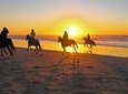 Horseback Riding in Cartagena