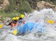 Browns Canyon Half Day Rafting
