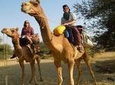 Private Chandigarh Day Trip from New Delhi 