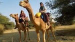 Private Chandigarh Day Trip from New Delhi 