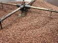 Coffee Tour in Hacienda Coloma in Fusagasugá from Bogotá (Private tour)