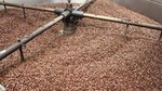 Coffee Tour in Hacienda Coloma in Fusagasugá from Bogotá (Private tour)
