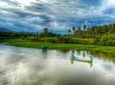 Jungle Tour Coyuca Lagoon 1 Hour Boat Ride & Baby Turtle Release Tour With Lunch