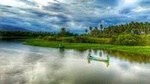 Jungle Tour Coyuca Lagoon 1 Hour Boat Ride & Baby Turtle Release Tour With Lunch