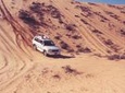 Desert Safari to Wahiba Sands and Wadi Bani Khalid from Muscat