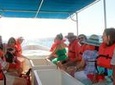 Explore Los Cabos City Tour, Glass-Bottom Boat Ride, Lunch and Shopping