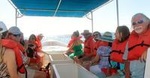 Explore Los Cabos City Tour, Glass-Bottom Boat Ride, Lunch and Shopping