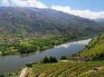 Douro Valley Tour: Wine Tasting, Lunch & River Cruise