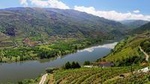 Douro Valley Tour: Wine Tasting, Lunch & River Cruise