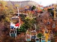 Early Bird Departure Great Wall Tour to Mutianyu with Chairlift Up and Toboggan Down