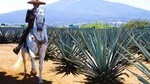 2-Day Guadalajara, Tequila, and Tlaquepaque from Puerto Vallarta