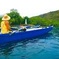Guided Outrigger Canoe Tour in Kealakekua Bay