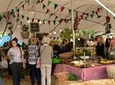 Half-Day Cape Town Food Markets Experience
