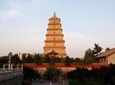 Half-Day Private City Tour of Shaanxi History Museum and Big Wild Goose Pagoda