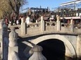 Half-Day Private Tour of Beijing Hutong Highlights